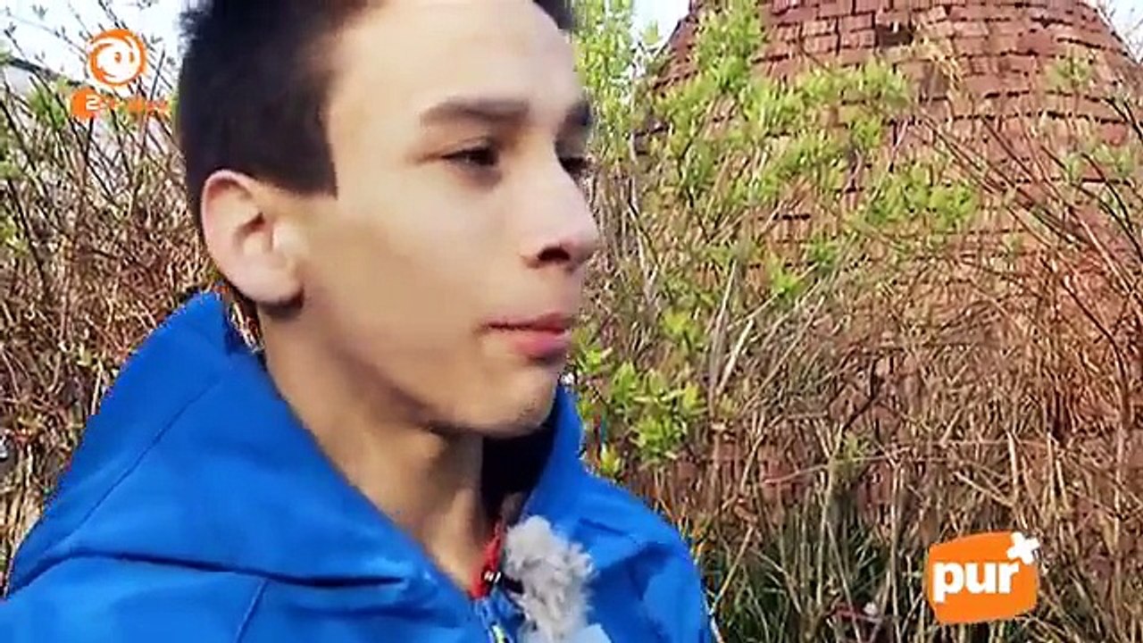 pur+ Staffel 8, Folge 25 Mit dem Rolli in die Halfpipe!