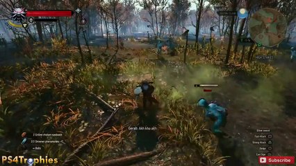 The Witcher 3 Wild Hunt - Overkill Trophy / Achievement Guide