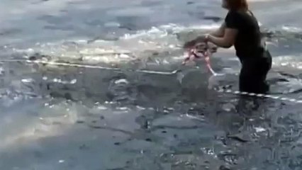 ШОК! Мальчик рисковал своей жизнью ради жизни собаки, низкий поклон таким людям.