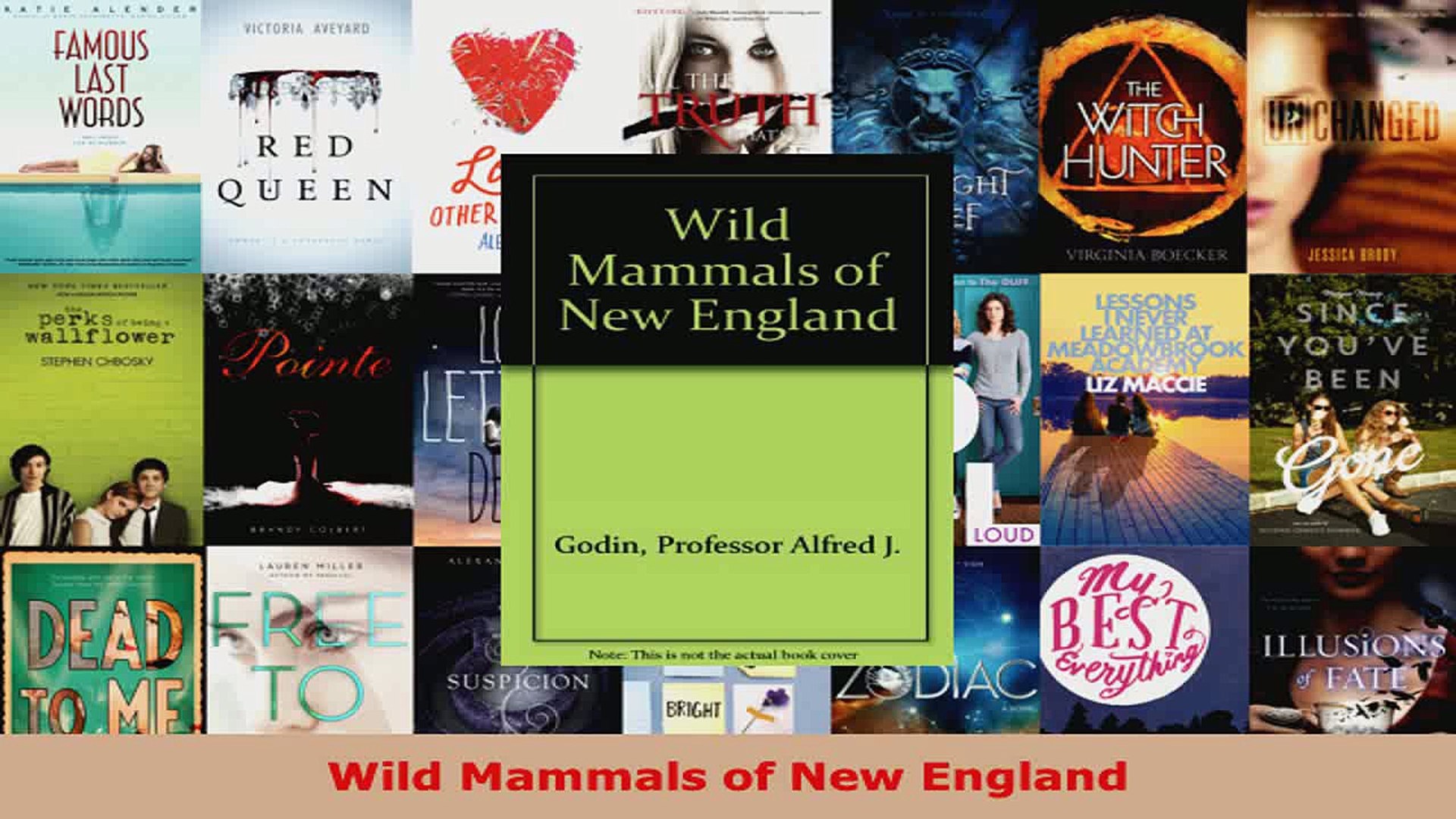 Read  Wild Mammals of New England Ebook Free