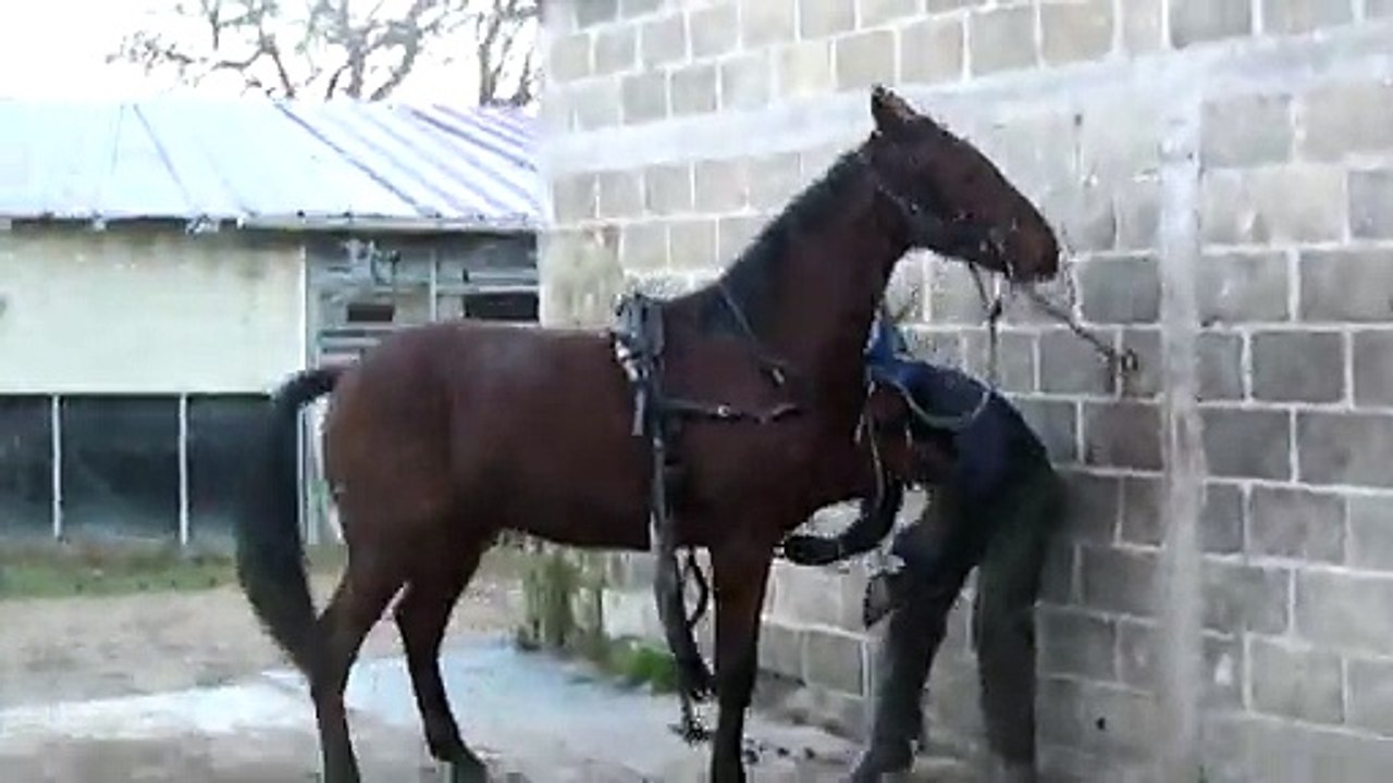 PREPARATION D'EGALITE POUR ALLER EN PISTE