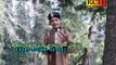 Ho Mubarak Mubarak Milad e Nabi Video Naat [2016] Muhammad Daniyal Ali Qadri - All Video Naat