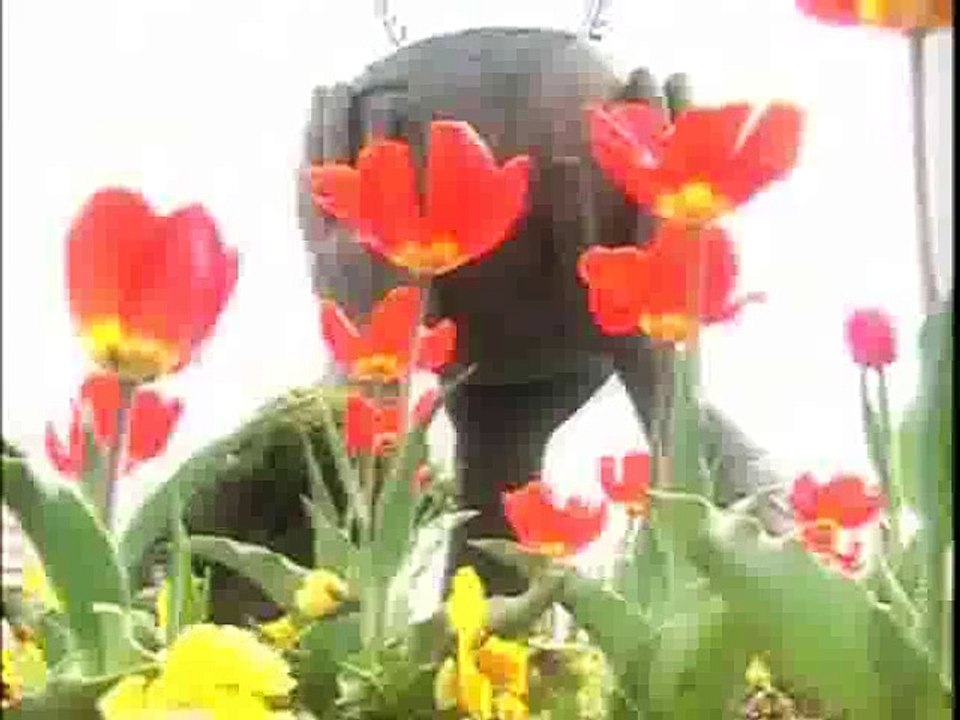 karim