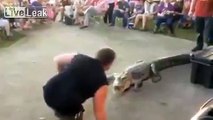 Crocodile pulls nice wrestling move..**Volume**