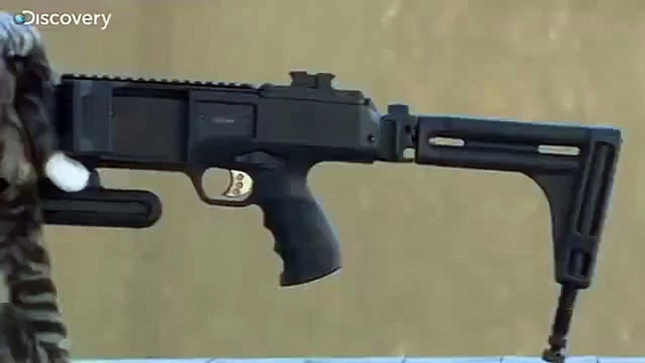 Cat Gun-Postal Cat 2015