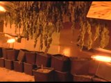Prato - Serre di marijuana in una villa di lusso (11.12.15)