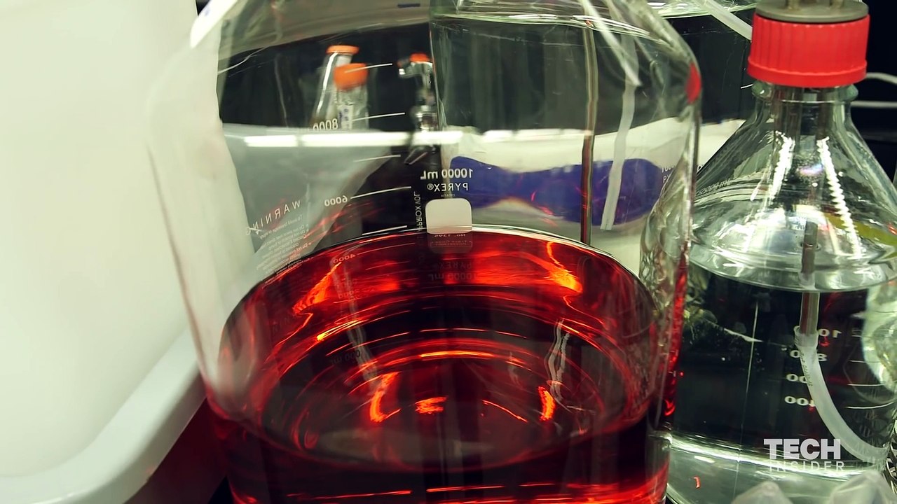 Sewage Into Energy Tech - BuzzFeed+