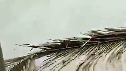 Shocking - Bridge breaks down  Avadi in Chennai