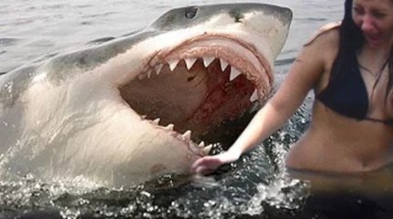 Top 5 Most Amazing Near Death Videos | MUST SEE