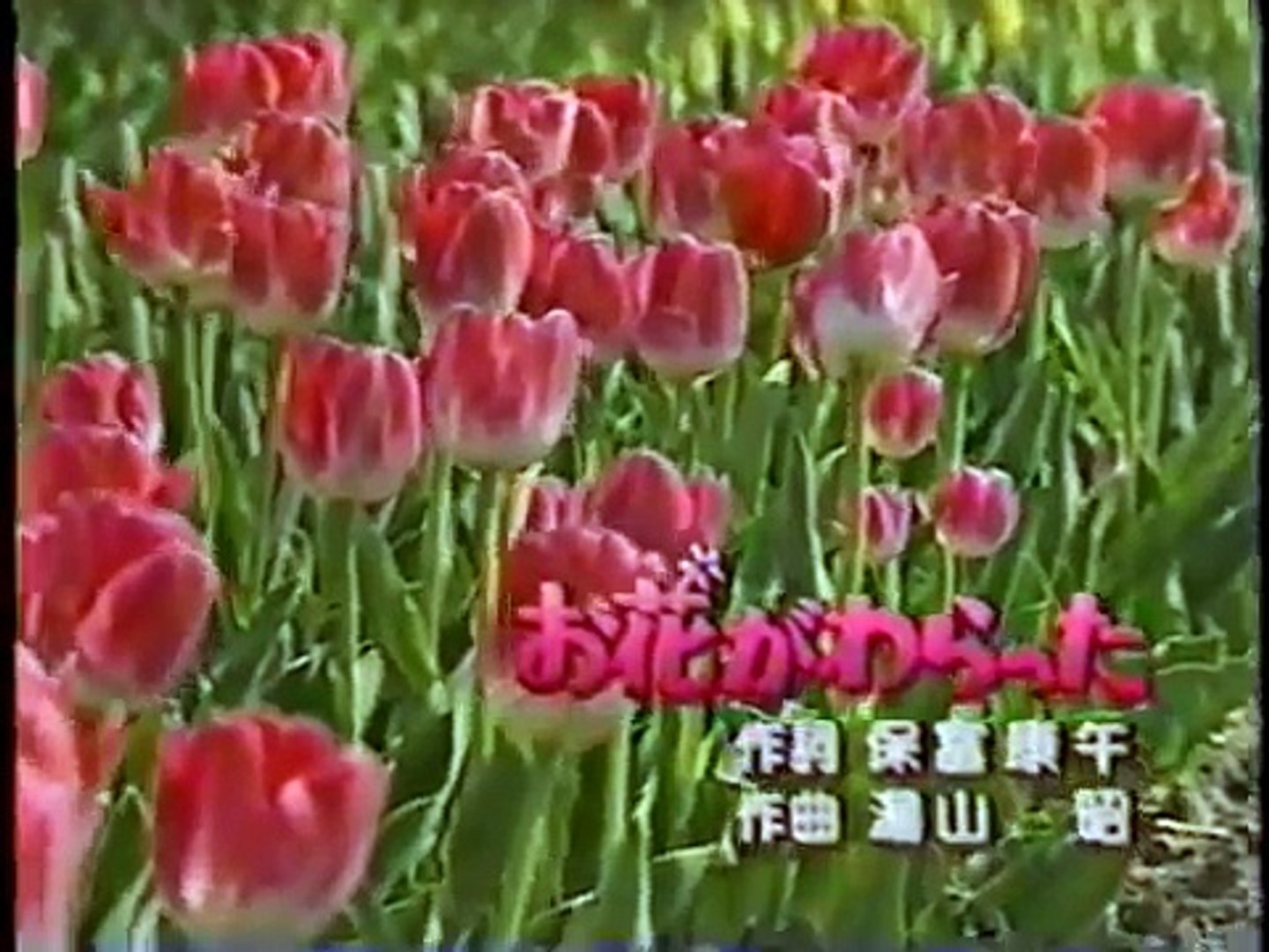 いってみよう やってみよう （なっちゃん ポッケ - Dailymotion Video