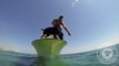 Dog Dive in Sea Then See Where Dog gone full of Thril Dog Catches Lobster- Dog Jump in Sea Hunting Lobster Live Video