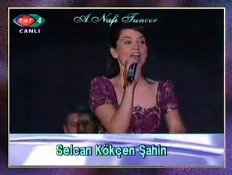 Selcan KÖKÇEN ŞAHİN-Mendil Verem Mi?