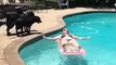 whatsapp funny videos 2016 2015  dog jumps on sexy girl in swimming pool  whatsapp funny videos