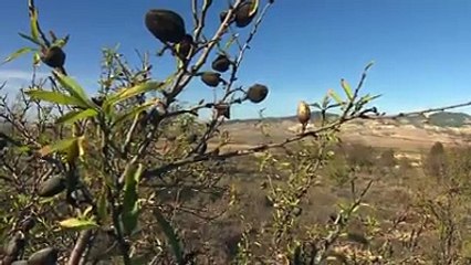 يحدث في تونس عائلة مازالت تشرب الماء من الحفر و الوديان أين رباعي السلام