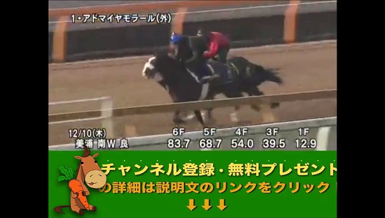第67回 朝日杯フューチュリティステークス（GI） アドマイヤモラール調教動画