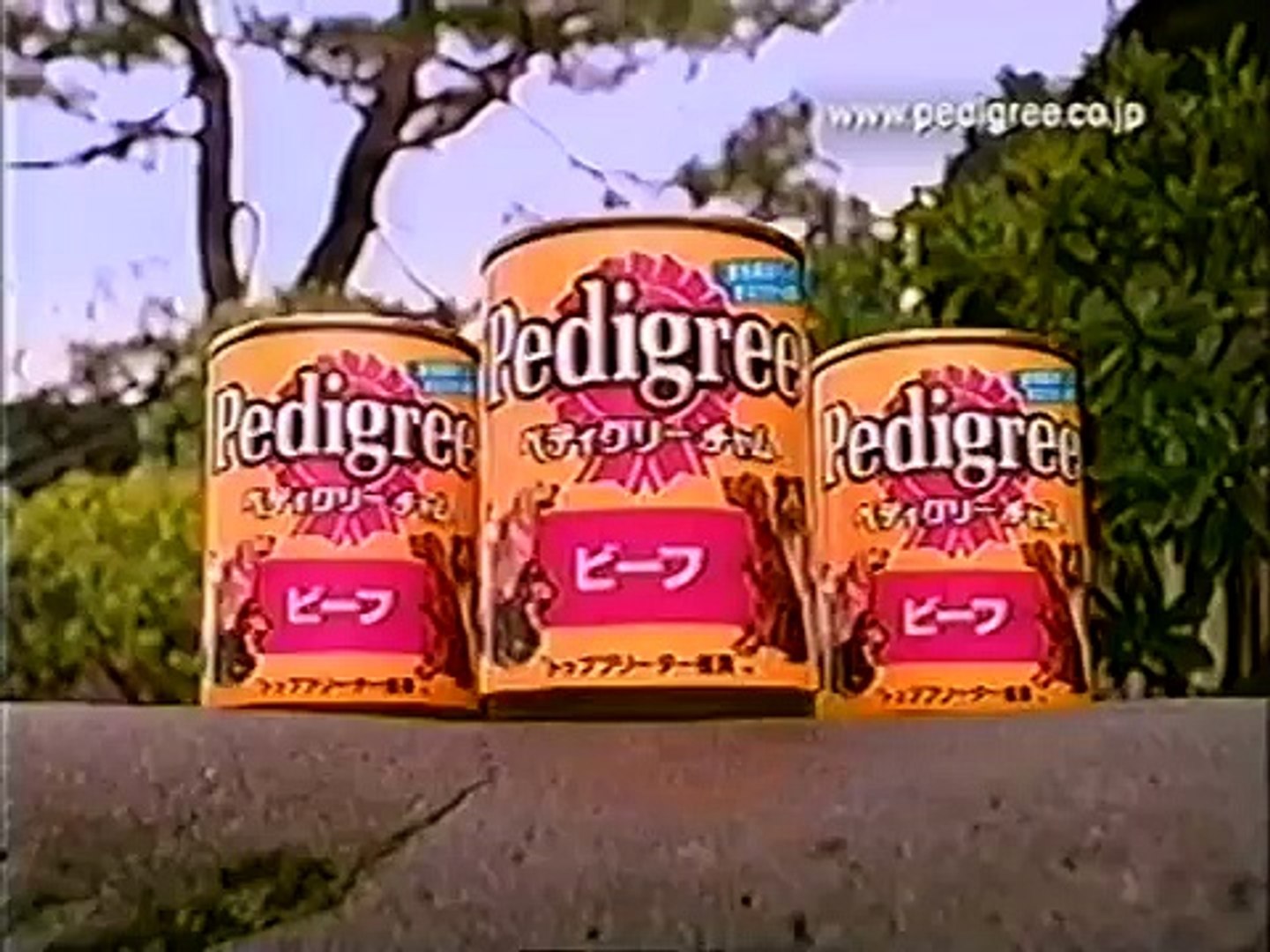 1998年のcm Video Dailymotion