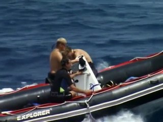 Grainger's World: Carribean Blue (2007) - Trailer (Documentary, Family)