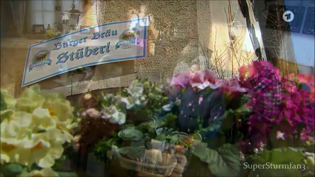 Luisa und Sebastian Folge 2260 Sturm der Liebe HD