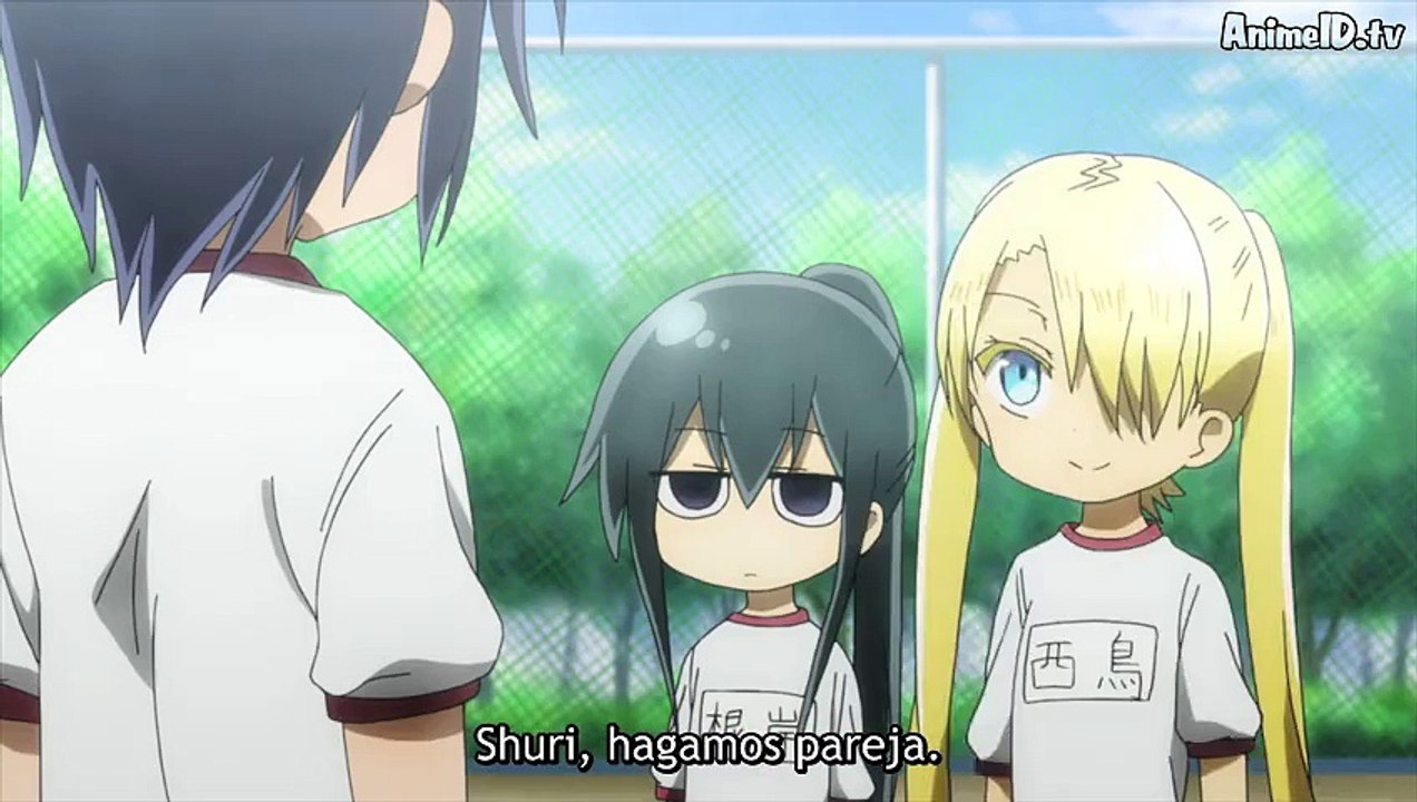 Komori-san wa Kotowarenai! 3 online HD sub español - Komori-san wa Kotowarenai!