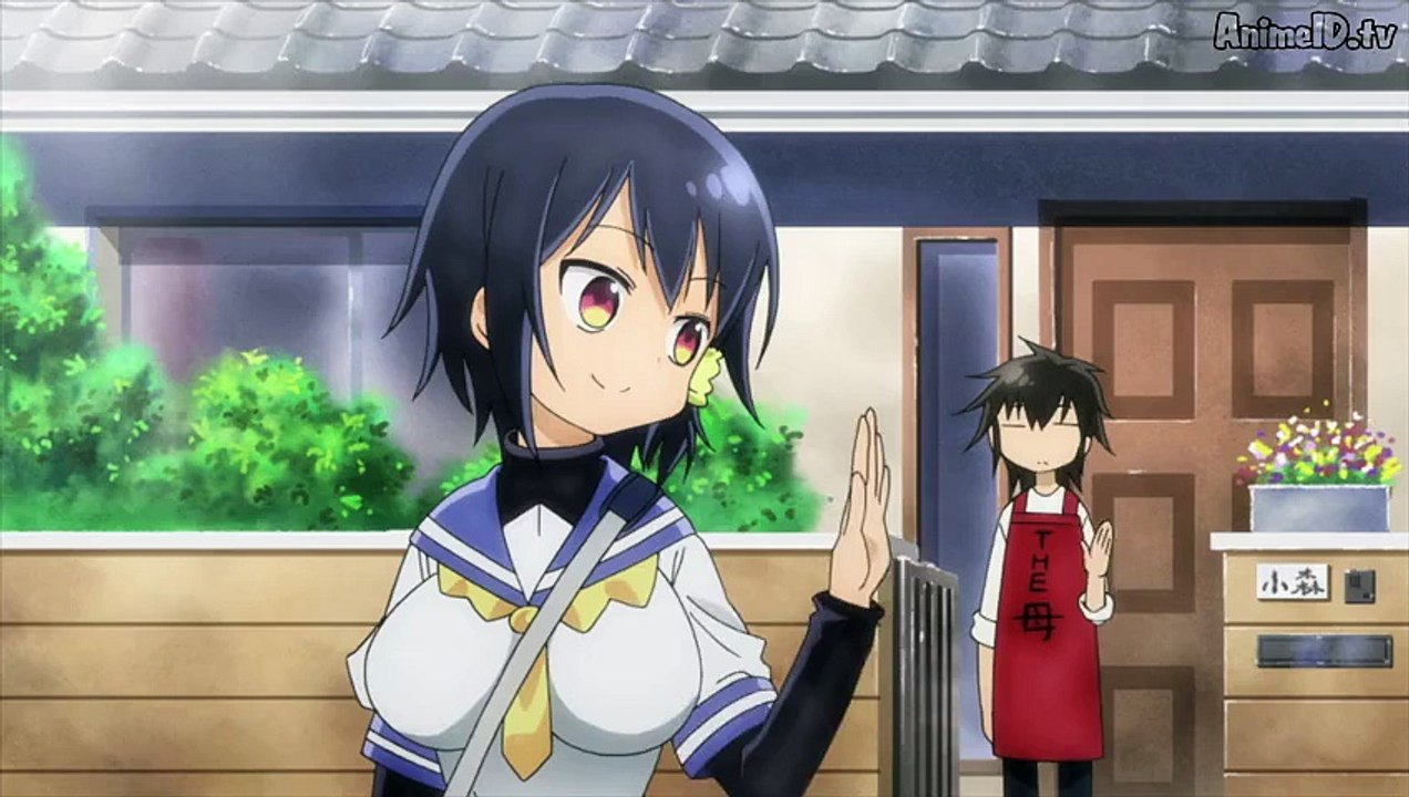 Komori-san wa Kotowarenai! 2 online HD sub español - Komori-san wa Kotowarenai!