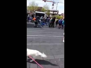 He May Be Old, He May Be Deaf, But Man, Can He Rock Out!
