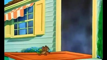 Tom and Jerry Cartoon - Hic cup Pup