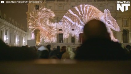 Giant Animals Projected Onto Vatican For Climate Change Awareness