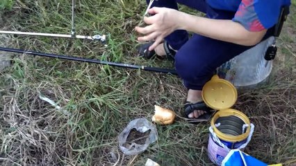 Thú câu cá trê của thanh niên cứng Việt Nam