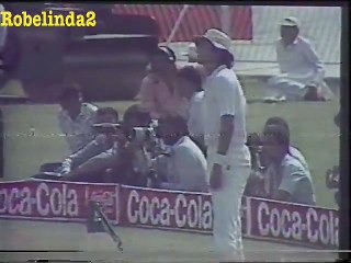 West Indies v Pakistan 1987 world cup