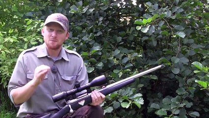 The Shooting Show – roebuck in the rut and the Savage Accustalker