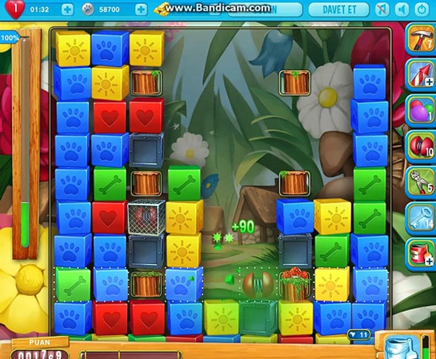 pet rescue 1004 level game