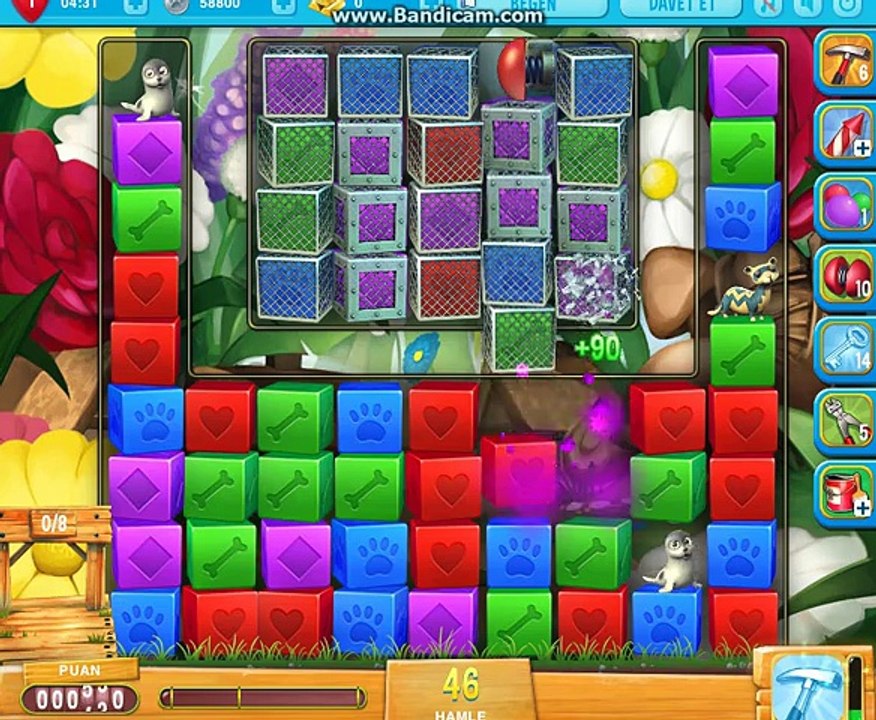 pet rescue 1007 level game