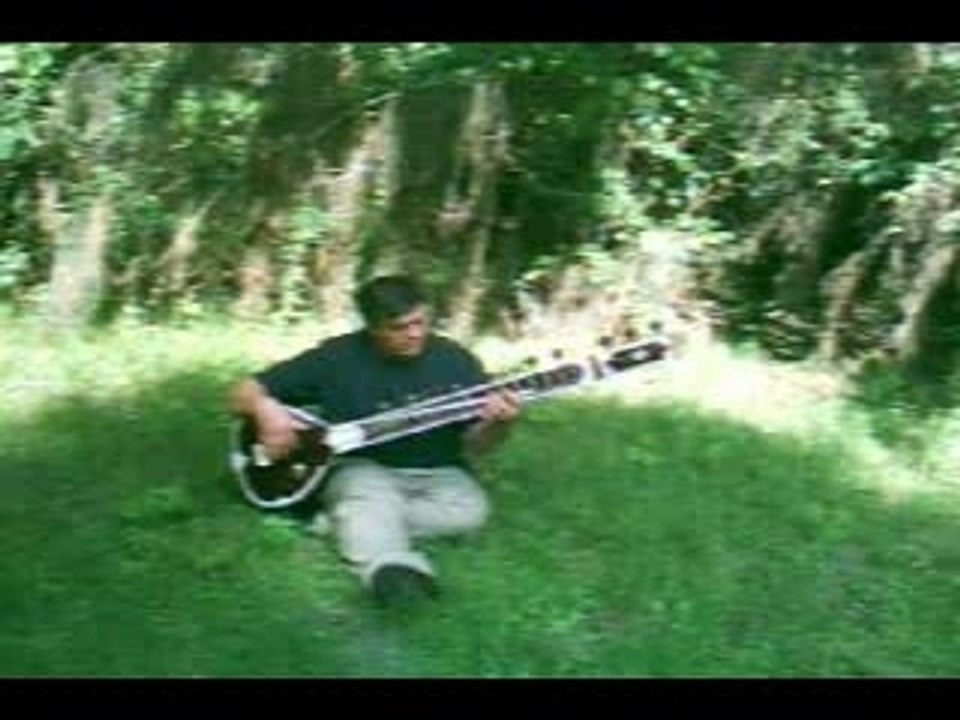 Sunsitar001
