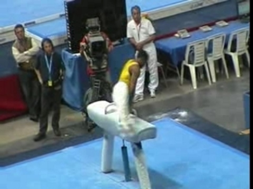 Mortal gymnastique
