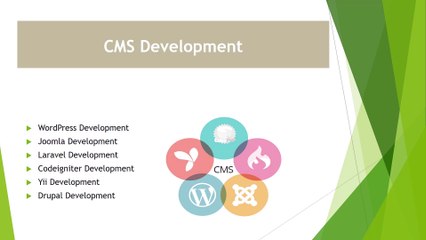 Web Design and Development Company Netgains Technology