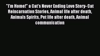 I'm Home! a Cat's Never Ending Love Story- Cat Reincarnation Stories Animal life after death