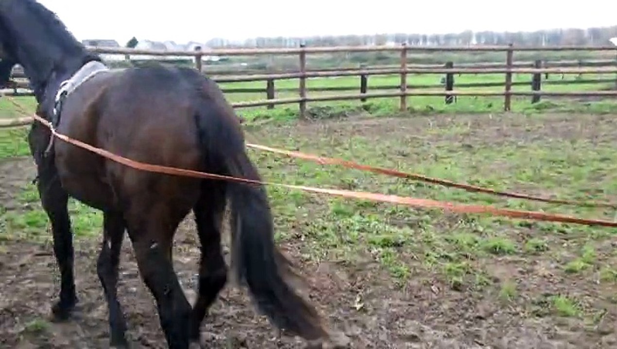 EROS FOREVER DANS LE ROND APPRENANT A AVOIR LES LONGUES RENES