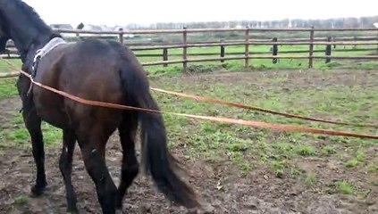 EROS FOREVER DANS LE ROND APPRENANT A AVOIR LES LONGUES RENES