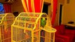 Говорящий зеленый попугай проказник!