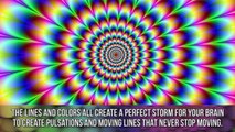 Amazing Mind Bending Optical Illusions