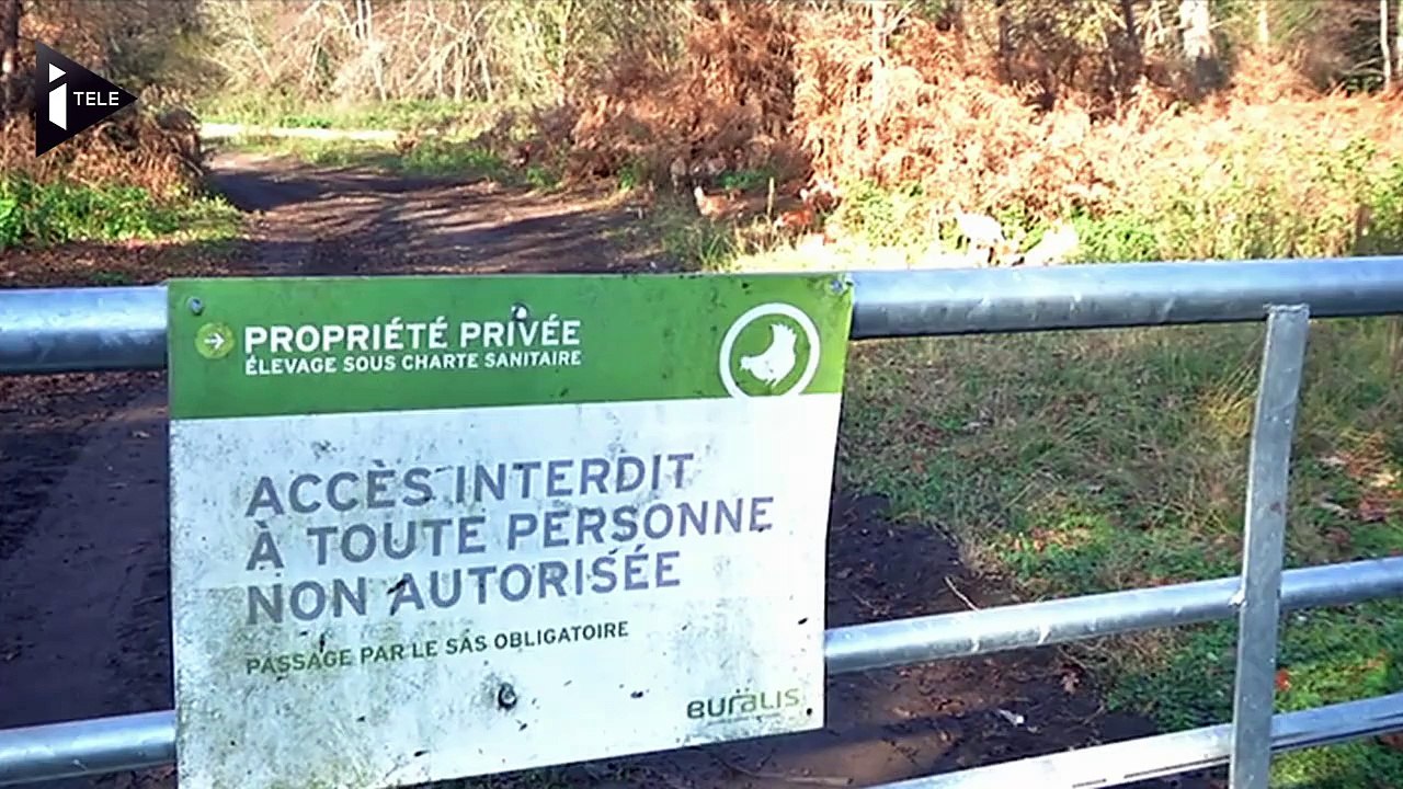 Grippe aviaire: Quelles sont les mesures de sécurité prises par les éleveurs?