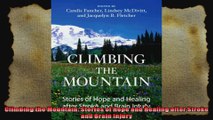 Climbing the Mountain Stories of Hope and Healing after Stroke and Brain Injury