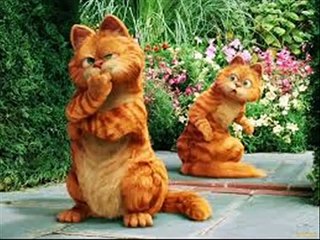 Mano billi(Naina). - YouPlay _ Pakistan's fastest video portal