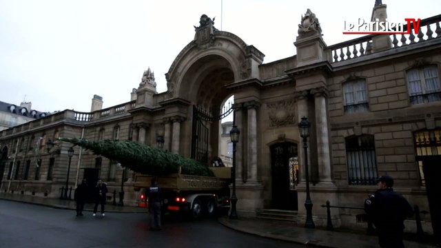 Le sapin de Noël de l'Elysée est enfin arrivé à bon port