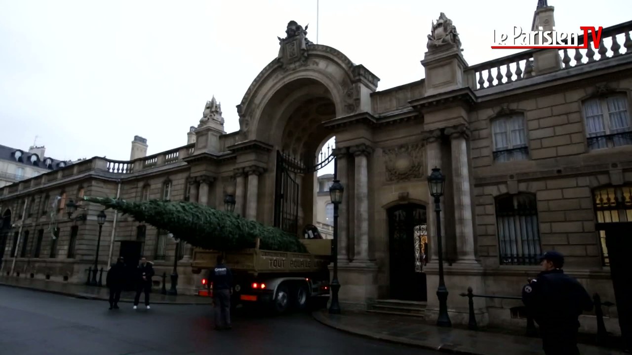 Le sapin de Noël de l'Elysée est enfin arrivé à bon port