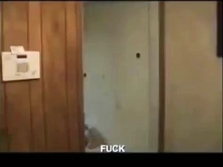 My reaction when Ninjago episode 55 got cancelled