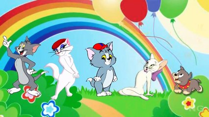 Tom and Jerry Finger Family Song | Nursery Rhymes for Kids | Tom and Jerry Finger Family C