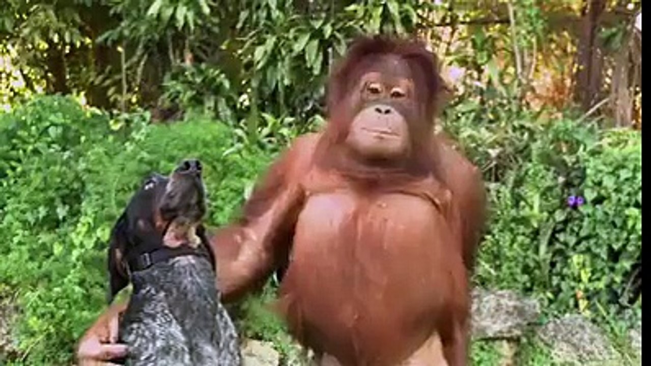 Friendship
