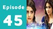 Kaanch Kay Rishtay Episode 45 Full on Ptv Home in High Quality