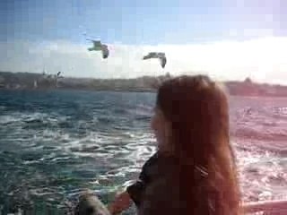 Sea gull feeding (Istanbul - Bosphorous)